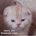 Это конец