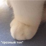 Это конец