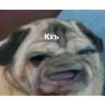 Это конец
