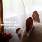 Это конец