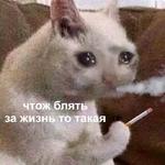 Это конец