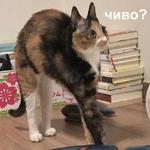 Это конец