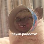 Это конец