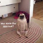 Это конец