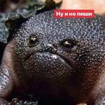 Это конец