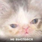 Это конец