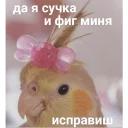Это конец