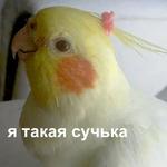 Это конец