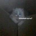 Это конец