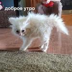 Это конец