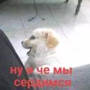 Это конец