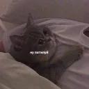 Это конец