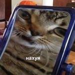 Это конец