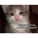 Это конец