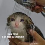 Это конец
