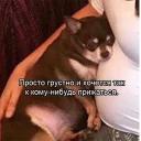 Это конец