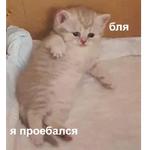 Это конец
