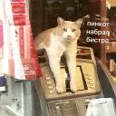 Это конец
