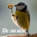 Это конец