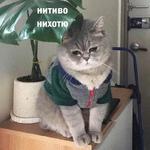Это конец