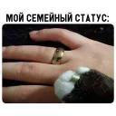 Это конец