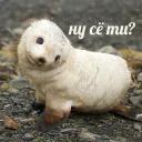 Это конец