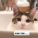 Это конец