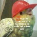 Это конец