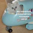 Это конец