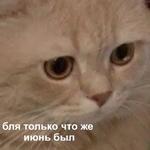 Это конец