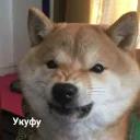 Это конец