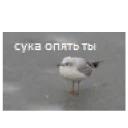 Это конец