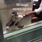 Это конец