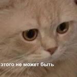 Это конец