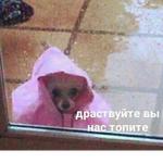 Это конец