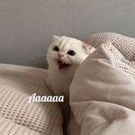 Это конец