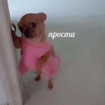 Это конец
