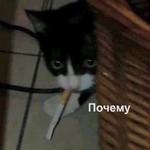 Это конец