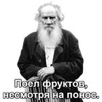 Tolstoy_Diary