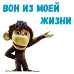 38 попугаев :: @animesticks