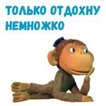 38 попугаев :: @animesticks