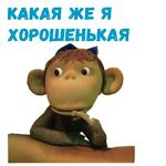 38 попугаев :: @animesticks