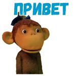 38 попугаев :: @animesticks