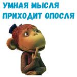 38 попугаев :: @animesticks