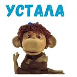 38 попугаев :: @animesticks