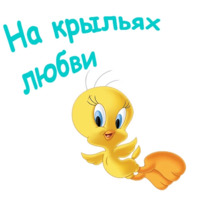 Твити