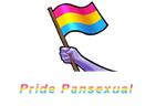 Twitch Pride @etozhechat