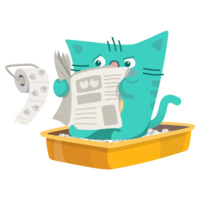 Котик Юпет