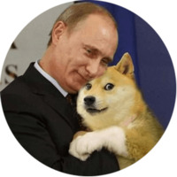 Собака Сиба-Ину