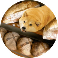 Собака Сиба-Ину